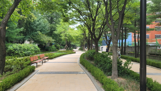 1. [기획]‘걷기 좋은 도시’로… ‘고양’의 ‘길’이 달라진다 (4) 오마초등학교 사잇길.jpg